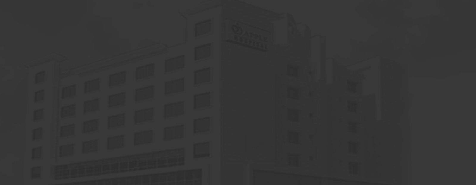 Digital Marketing Company